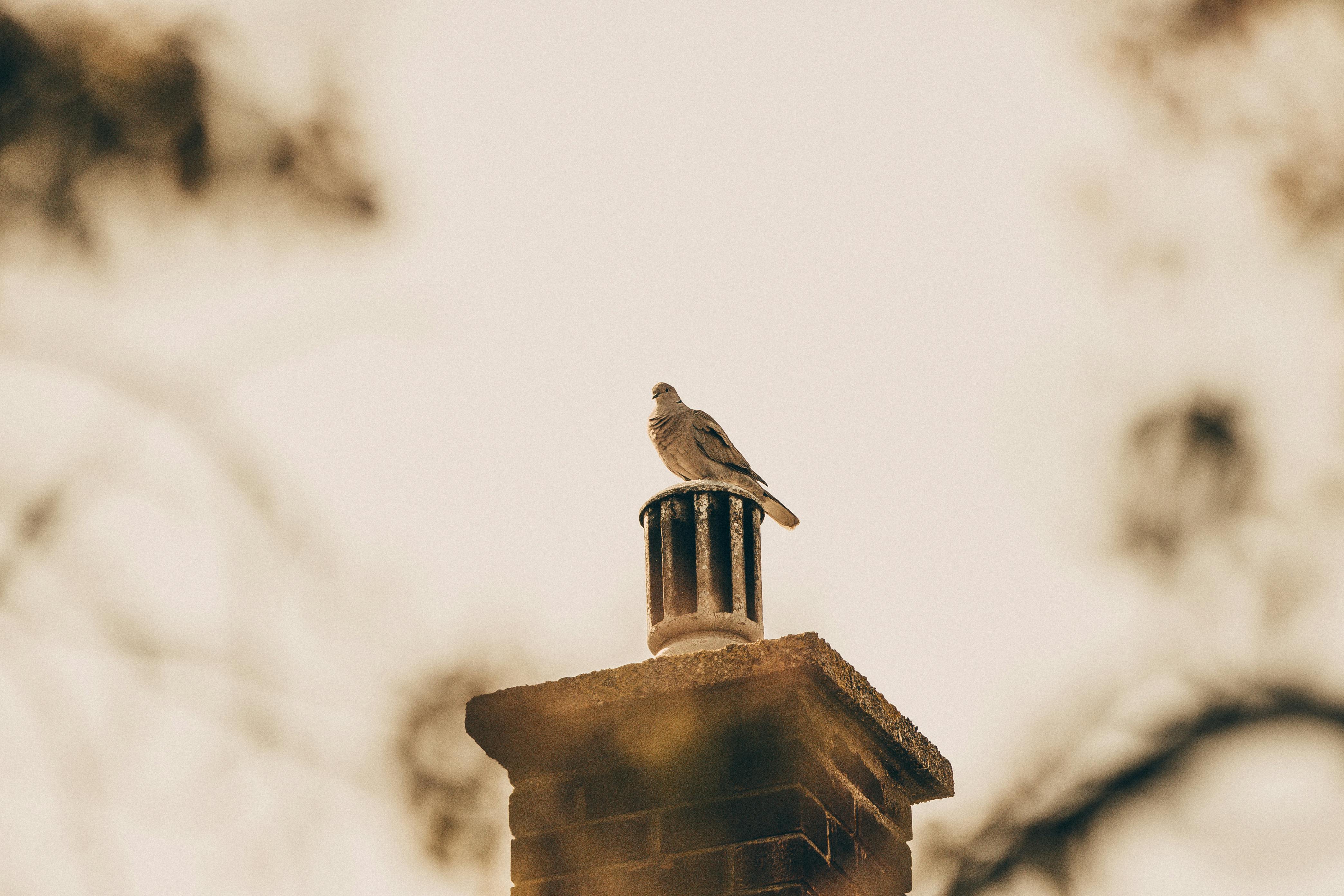 Quality Chimney Caps and Dampers Installation in Fulton, MD Professional Chimney Cap and Damper In Fulton Maryland